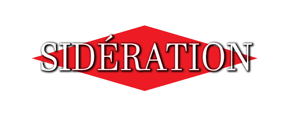 Logo du journal Sidération